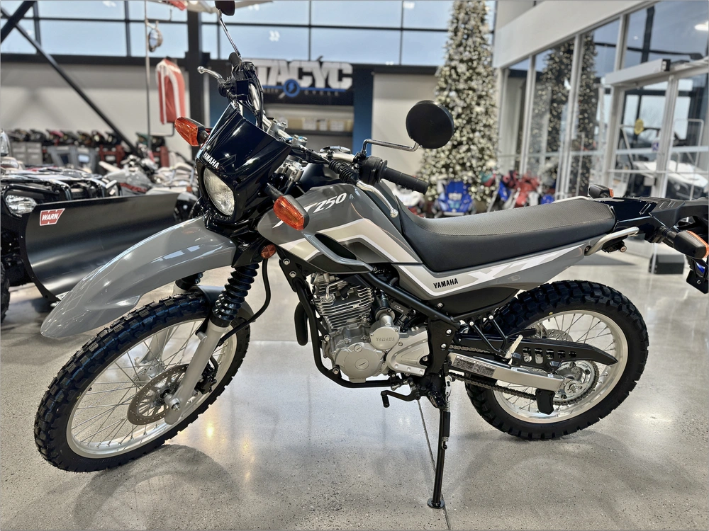 2024 Yamaha Xt250 alt