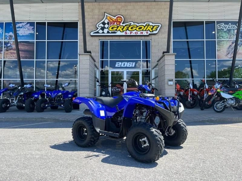 Yamaha Grizzly 110 2025 alt