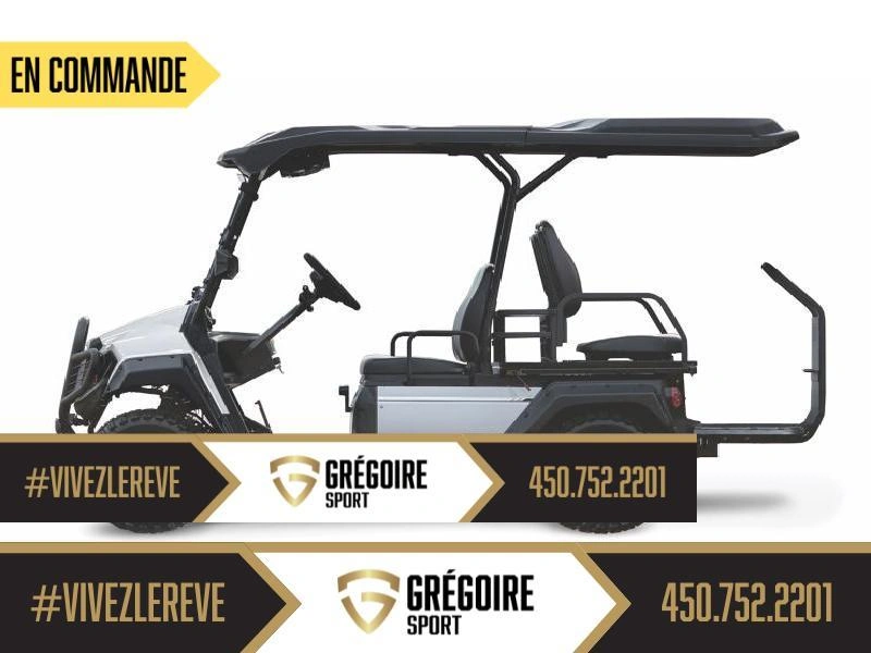 2025 Yamaha Umax Rally 2+2 Efi alt