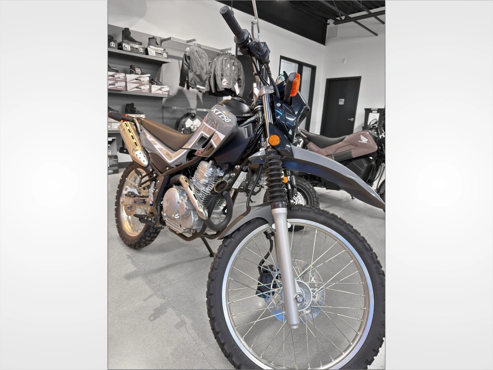 2024 Yamaha Xt250 alt