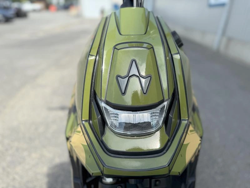 2024 Widescape Ws250 alt