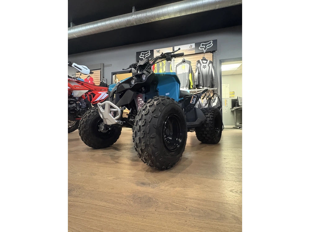 2026 Can-am Ren 2x4 110 alt