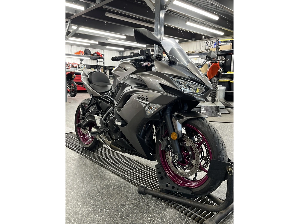 Kawasaki Z650 2021 alt