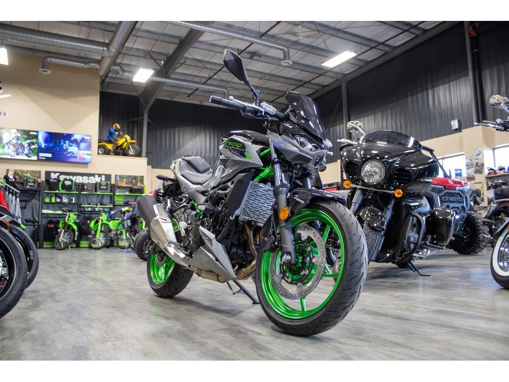 2025 Kawasaki Z500 Se alt