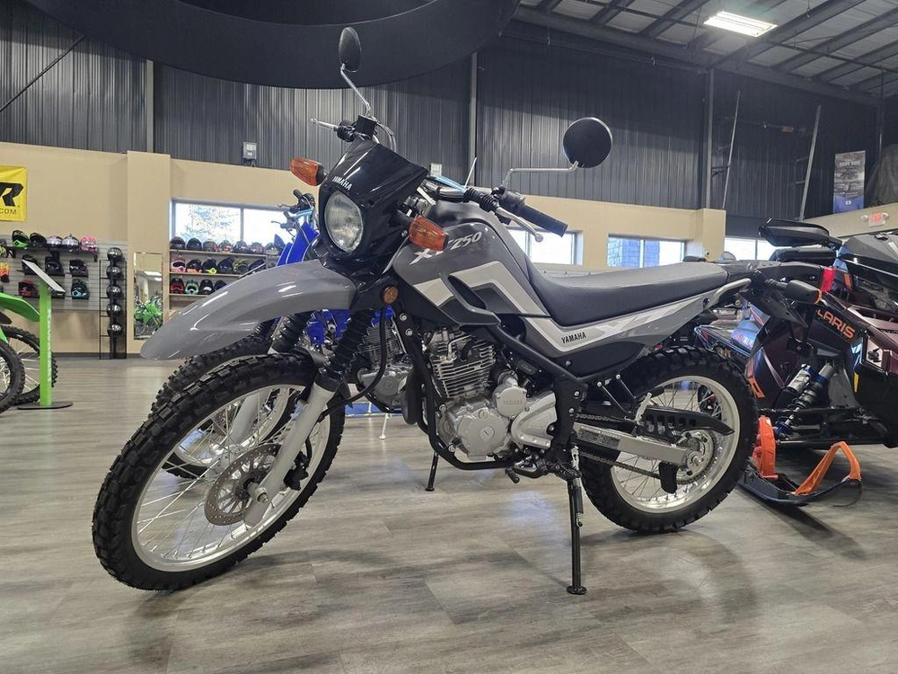 2025 Yamaha Xt250 alt