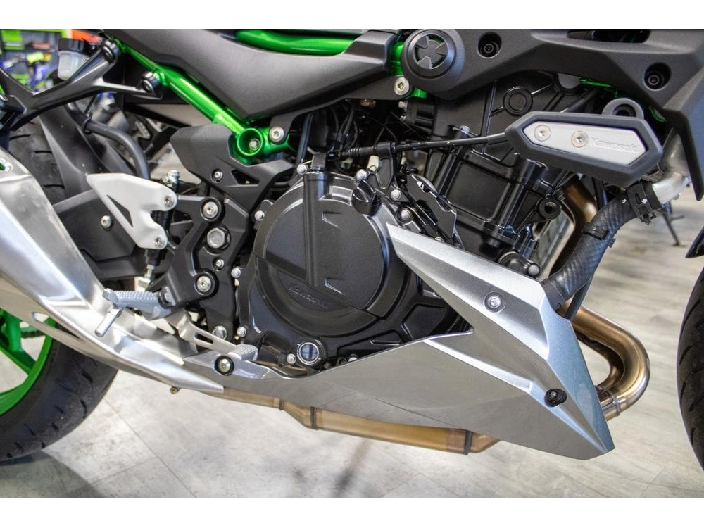 2025 Kawasaki Z500 Se alt