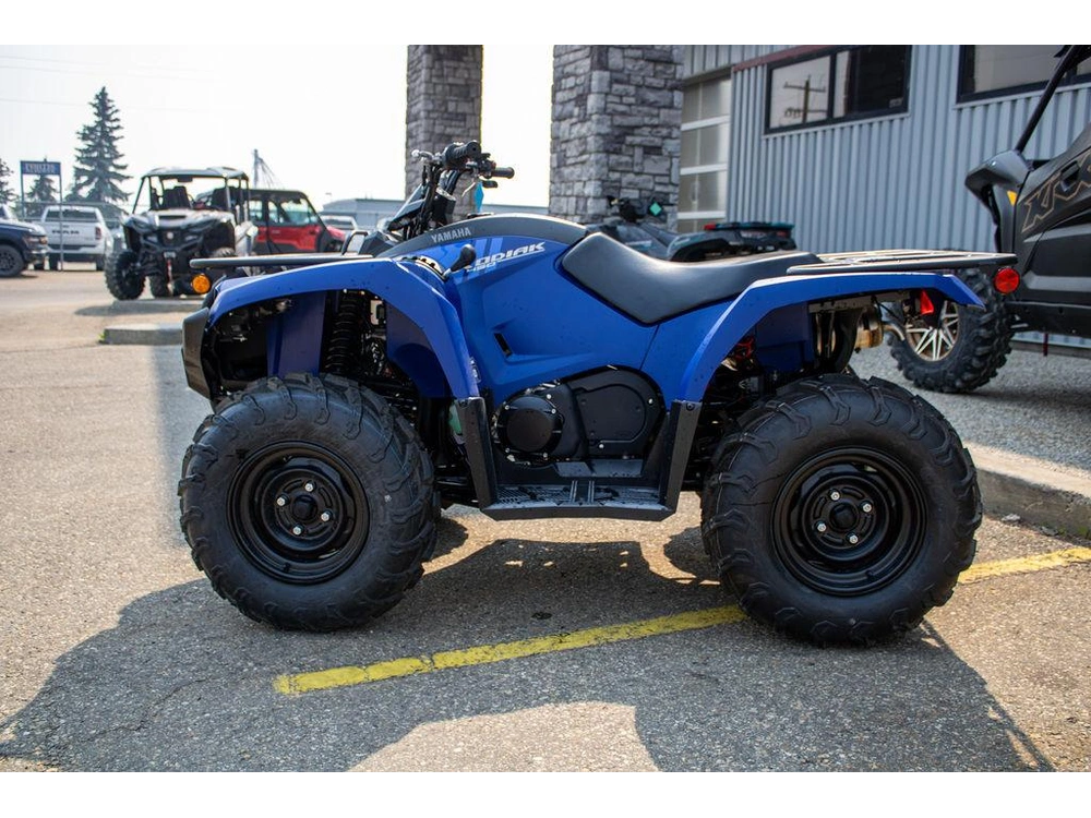 2025 Yamaha Kodiak 450 alt