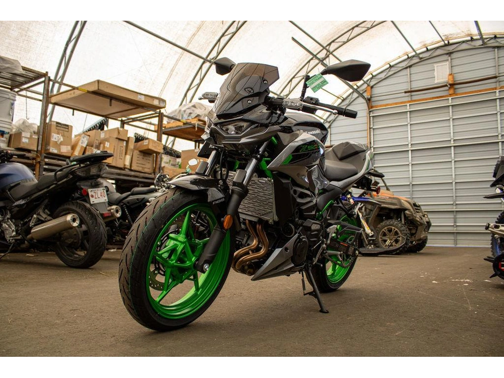 2025 Kawasaki Z500 Se alt