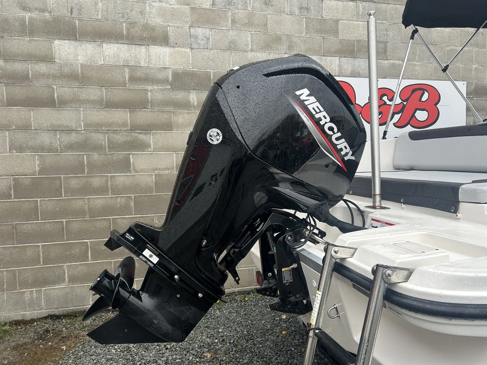 2024 Bayliner Element 19 - El alt