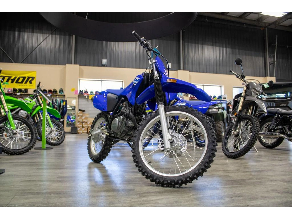 2025 Yamaha Tt-r 230 alt