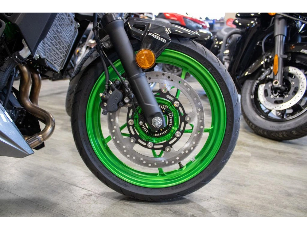 2025 Kawasaki Z500 Se alt