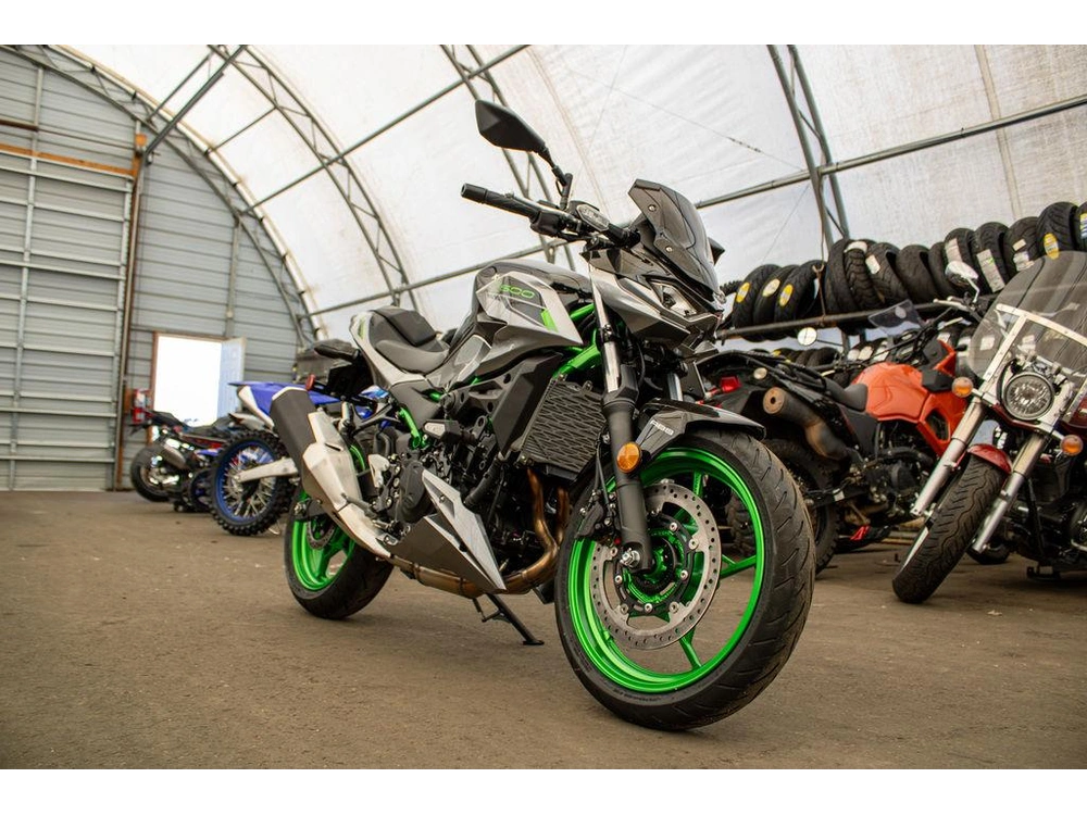 2025 Kawasaki Z500 Se alt