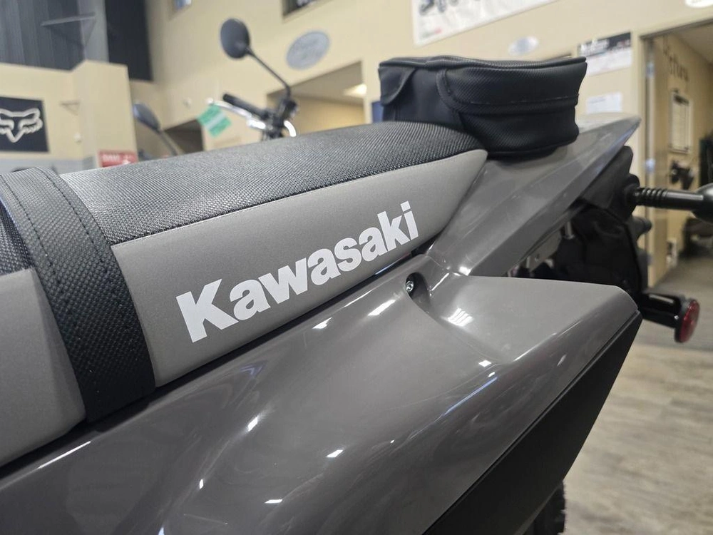 2025 Kawasaki Klx300 alt