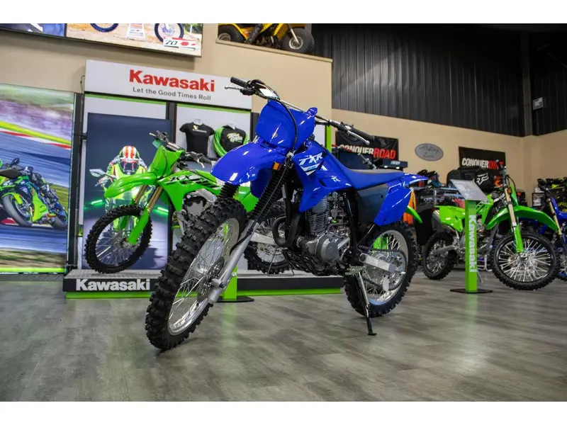 2025 Yamaha TTR230SL