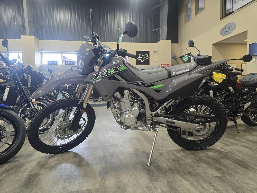2025 Kawasaki Klx300 alt