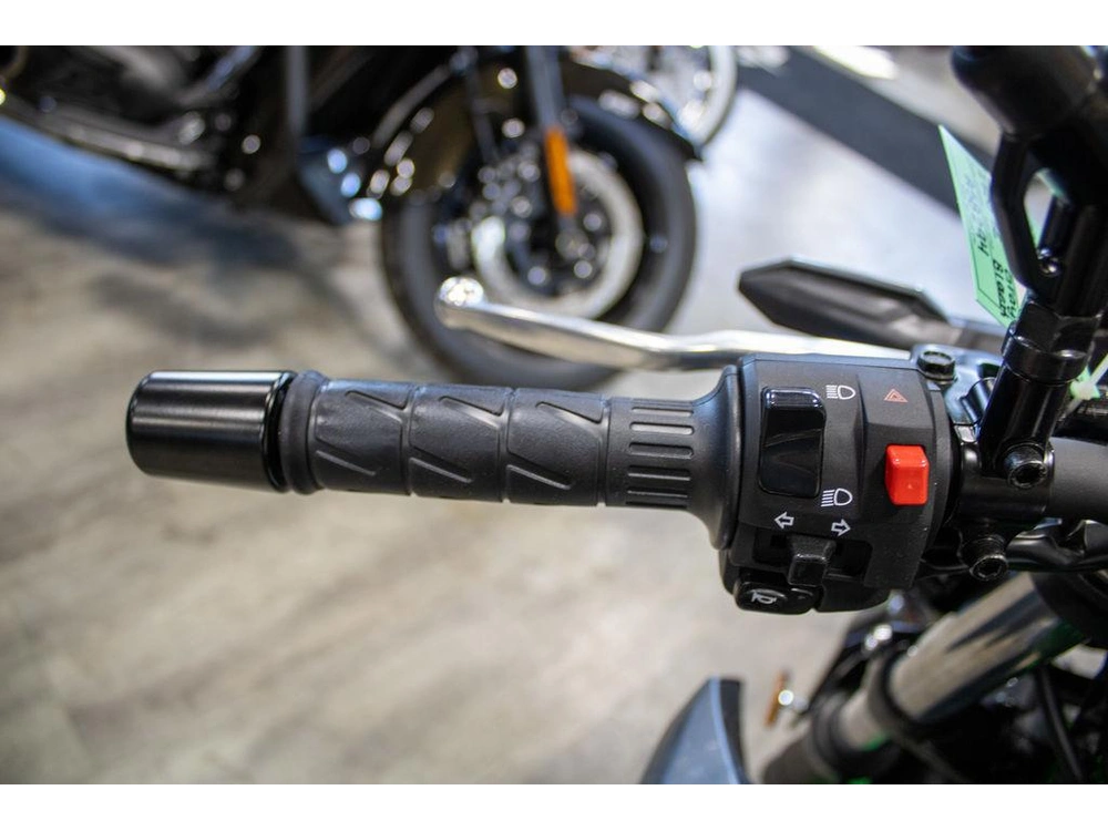 2025 Kawasaki Z500 Se alt