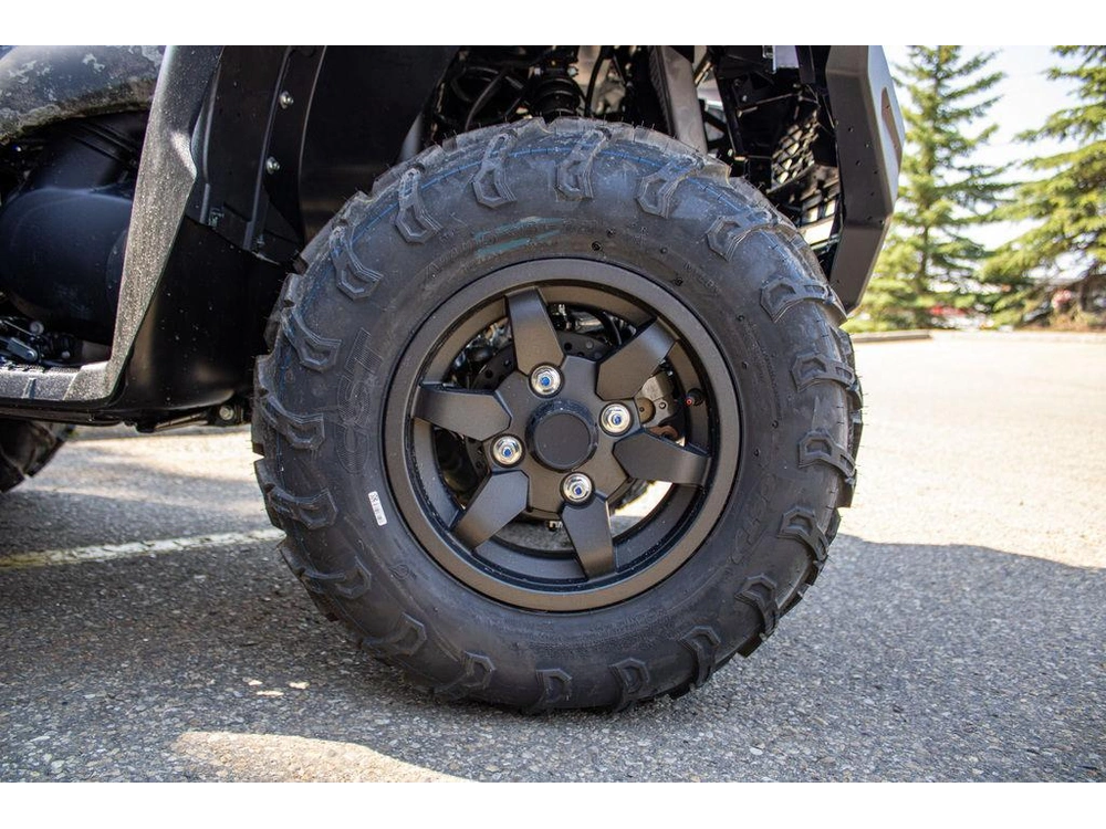 2025 Kawasaki Brute Force 750 Eps Le alt