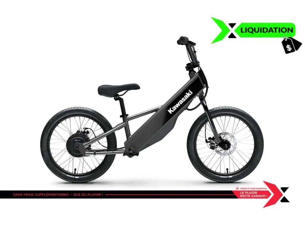 Kawasaki ELEKTRODE 20FS 2025