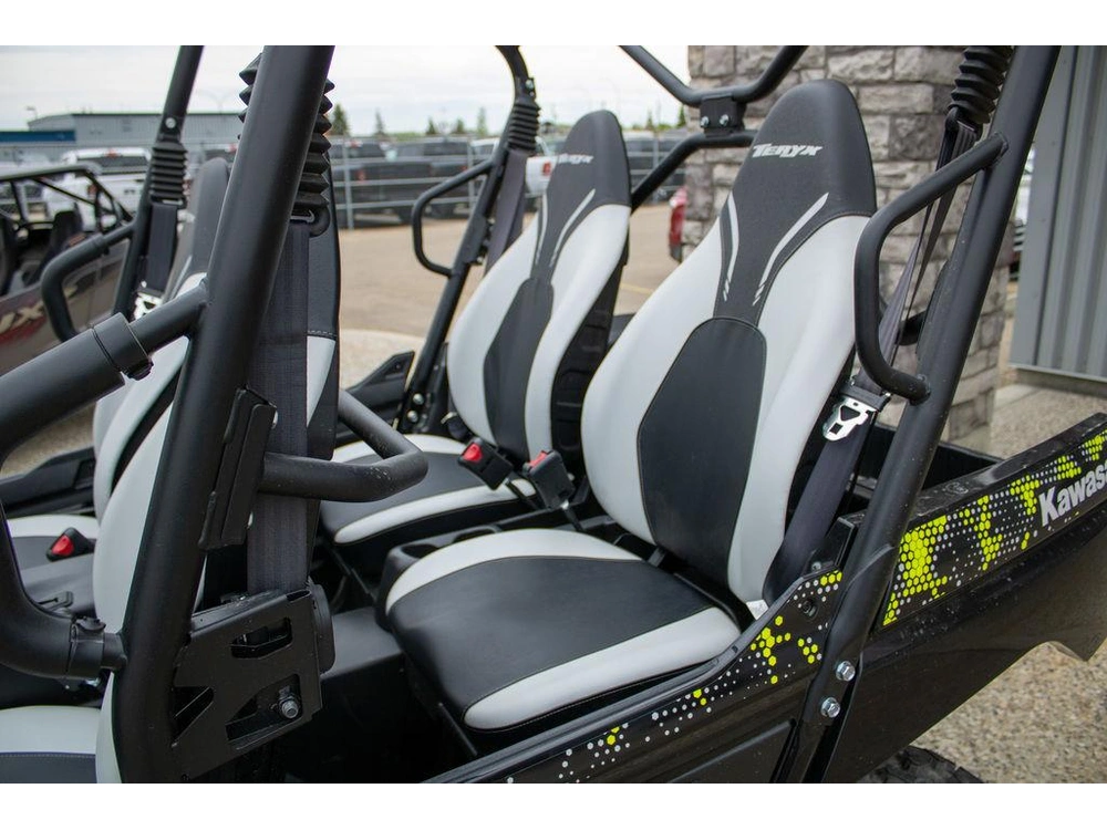 2025 Kawasaki Teryx4 alt