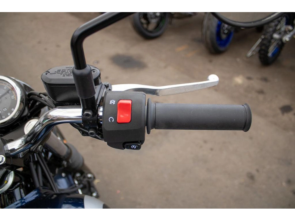 2025 Kawasaki W230 alt