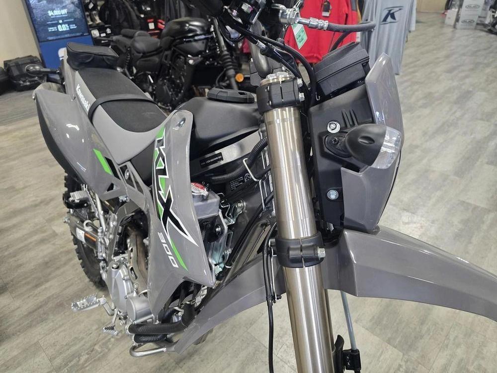 2025 Kawasaki Klx300 alt