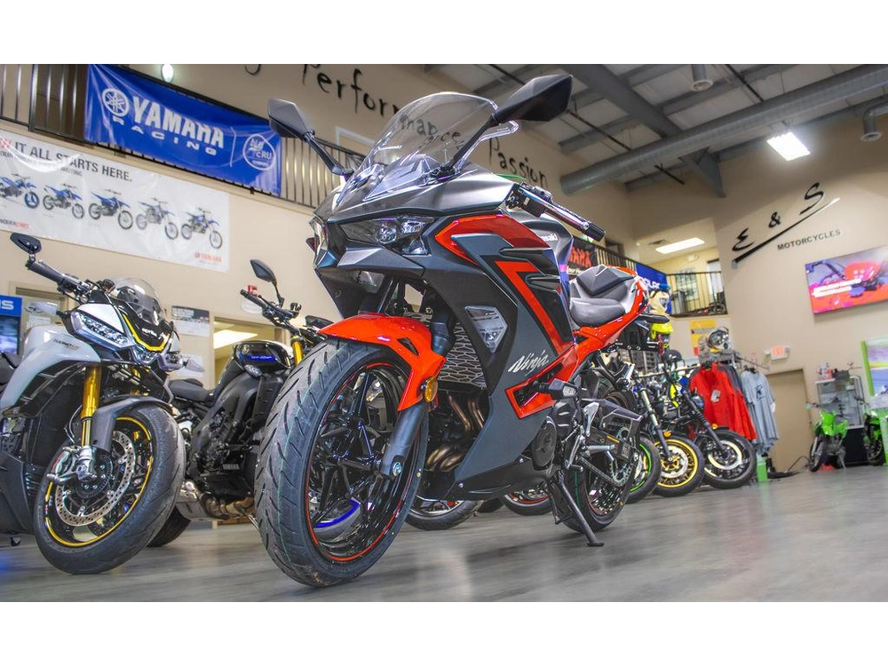 2025 Kawasaki Ninja 500 Se alt