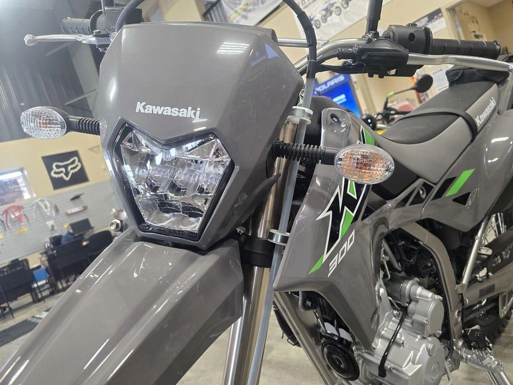 2025 Kawasaki Klx300 alt