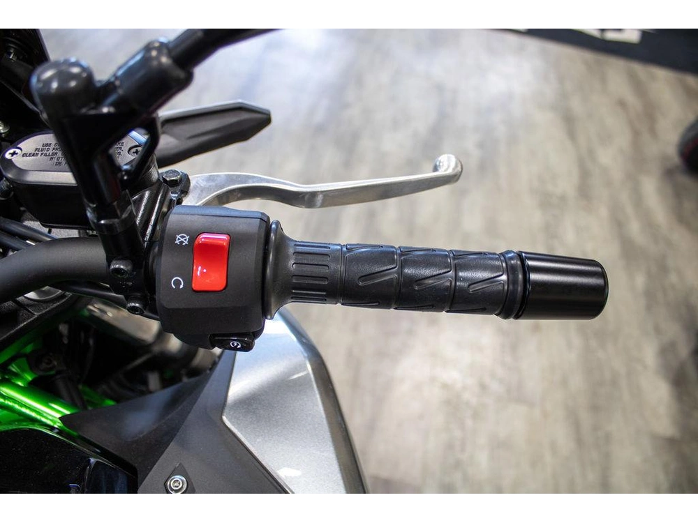 2025 Kawasaki Z500 Se alt