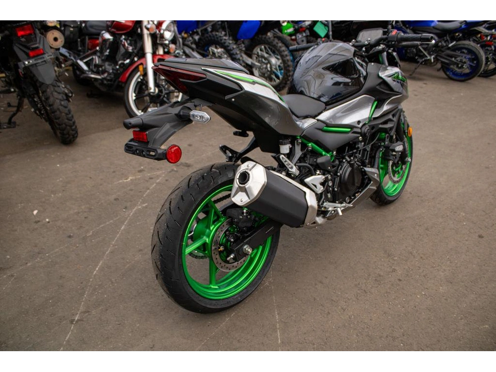 2025 Kawasaki Z500 Se alt