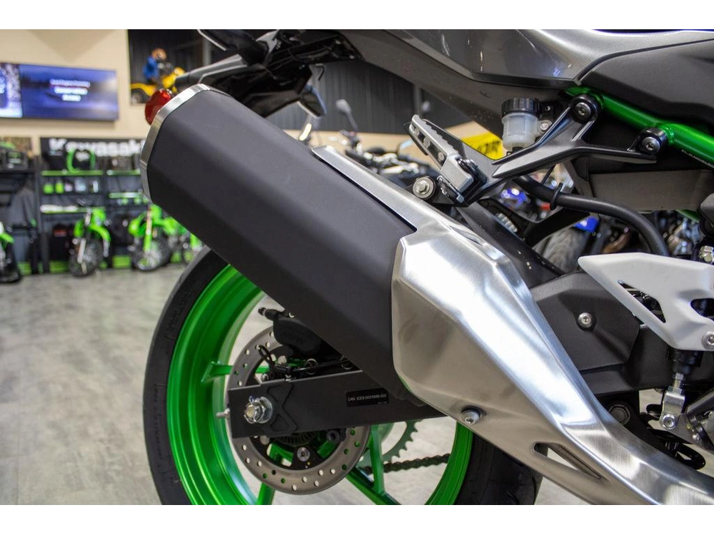 2025 Kawasaki Z500 Se alt