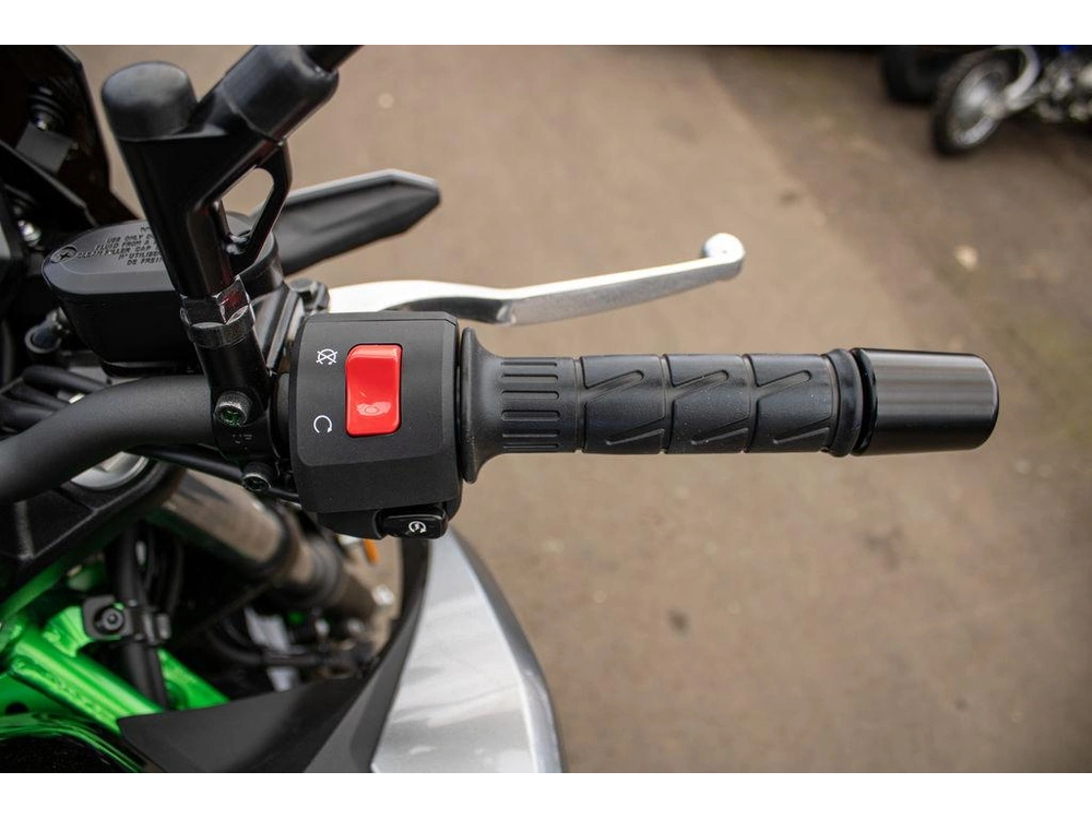 2025 Kawasaki Z500 Se alt