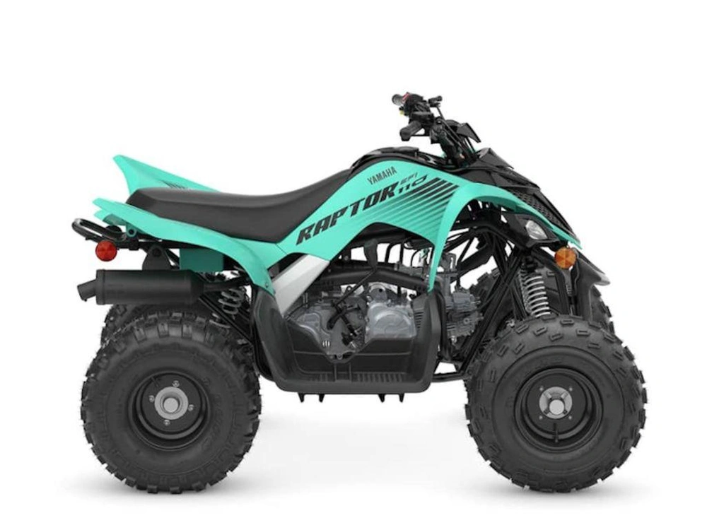 2025 Yamaha Raptor 110 alt