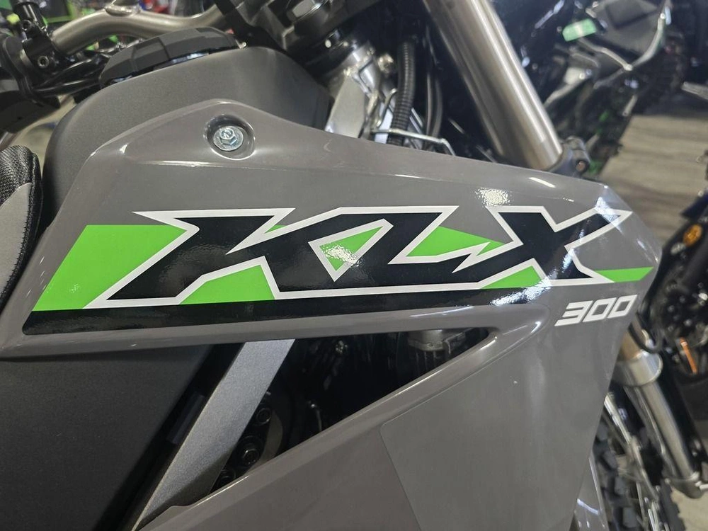 2025 Kawasaki Klx300 alt