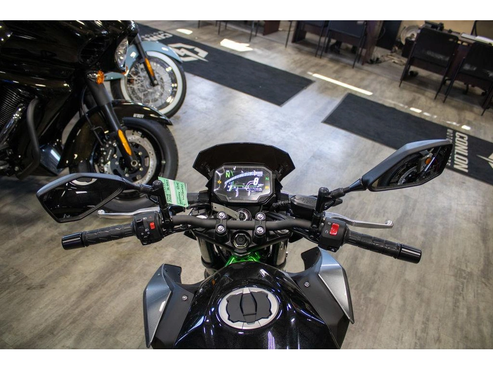 2025 Kawasaki Z500 Se alt