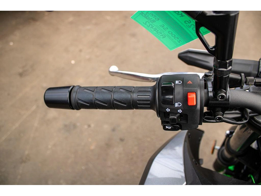 2025 Kawasaki Z500 Se alt