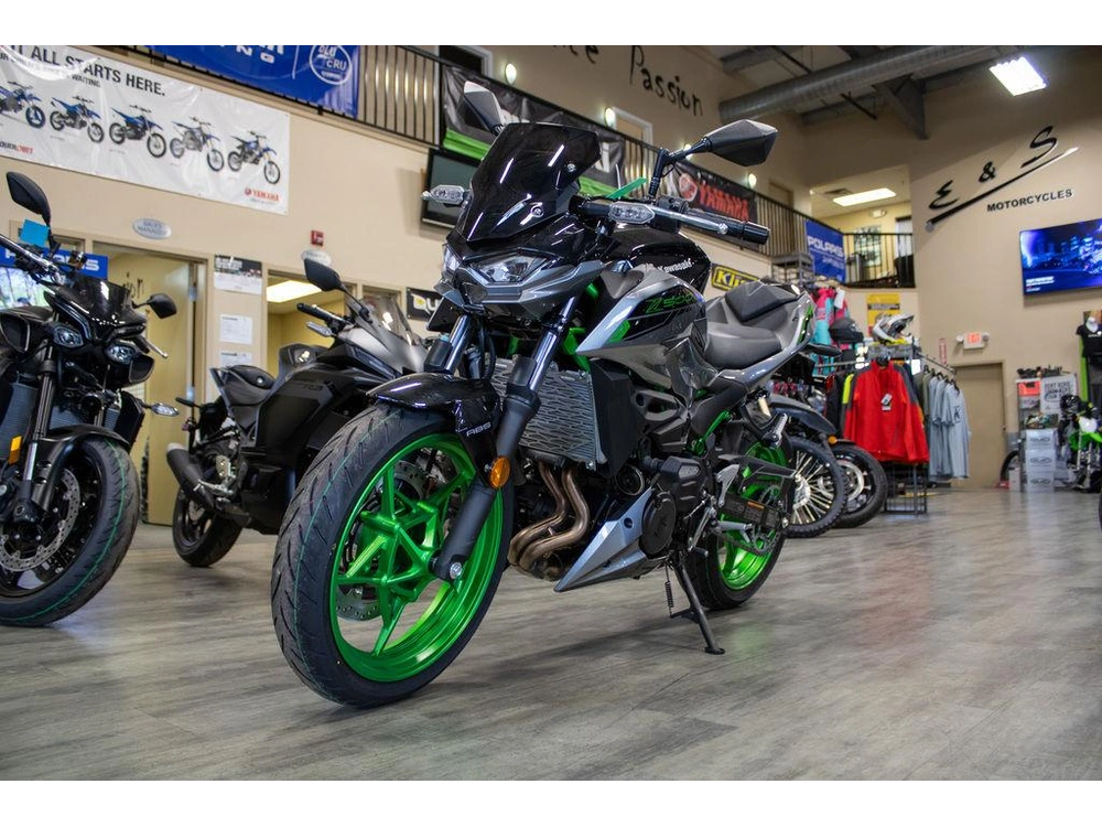 2025 Kawasaki Z500 Se alt