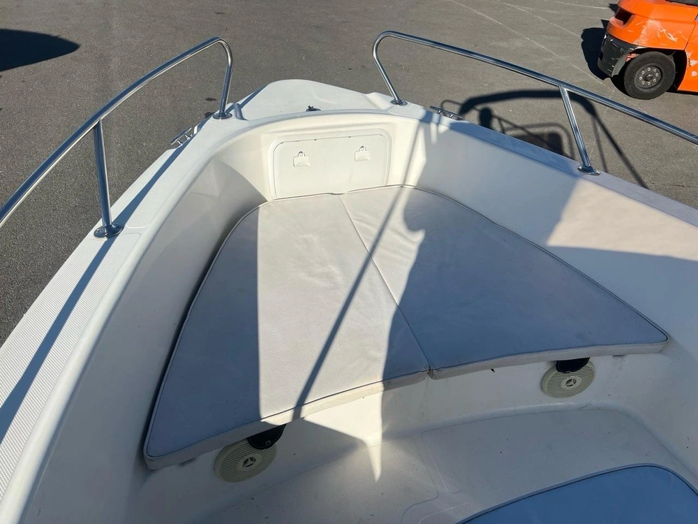 Larson 19cc Fincraft 2011 alt