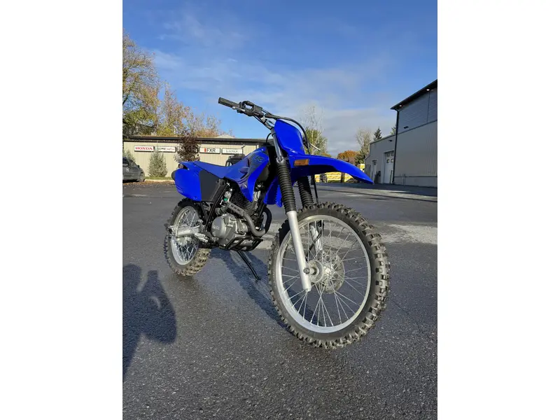 2024 yamaha TTR 230
