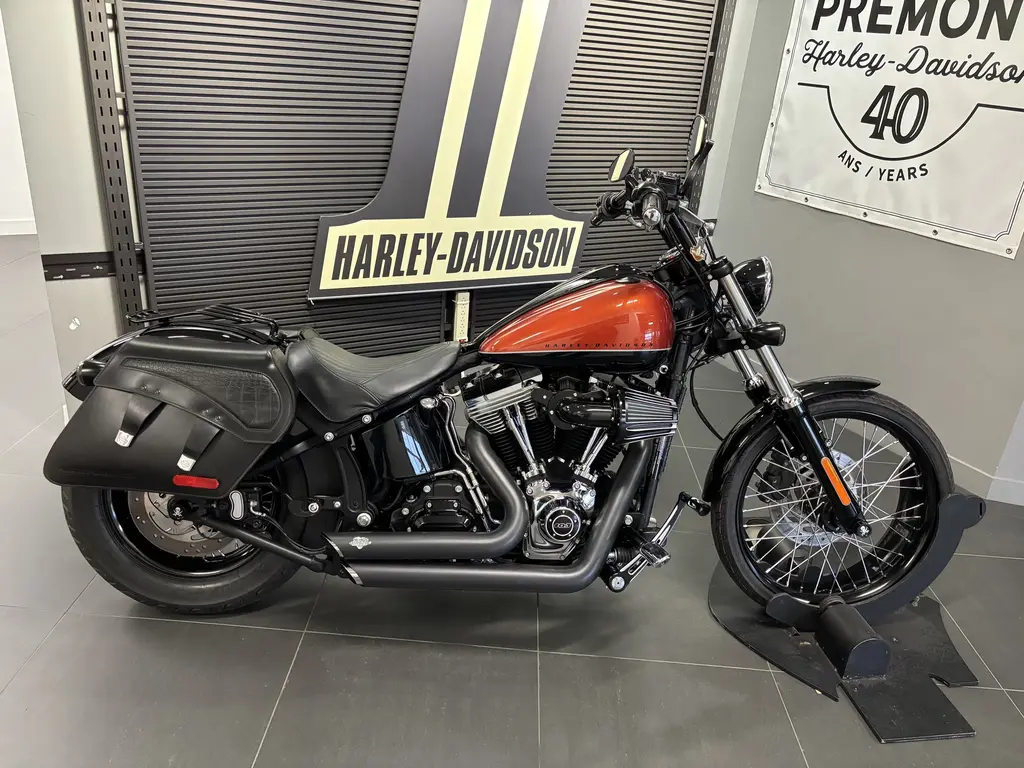 2011 Harley-Davidson SOFTAIL BLACKLINE FXSFXS