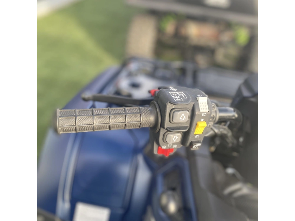 2024 Honda Fourtrax Foreman® Rubicon 4x4 Automatic Dct Eps alt