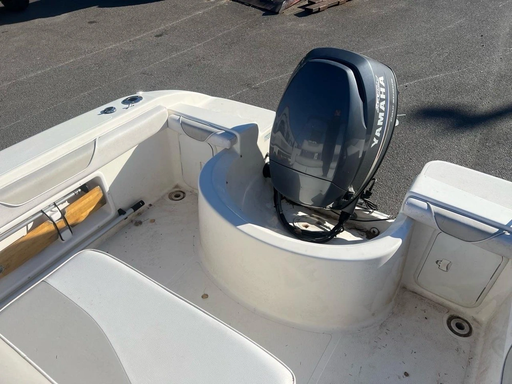 Larson 19cc Fincraft 2011 alt