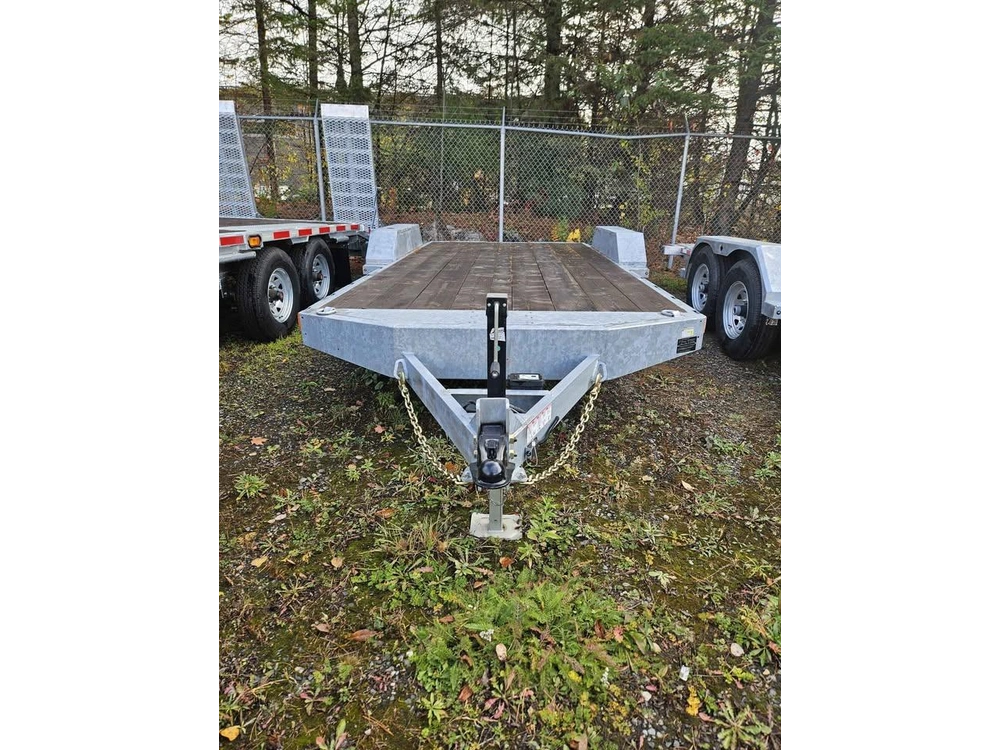 Triumph Gbch5 2025 alt