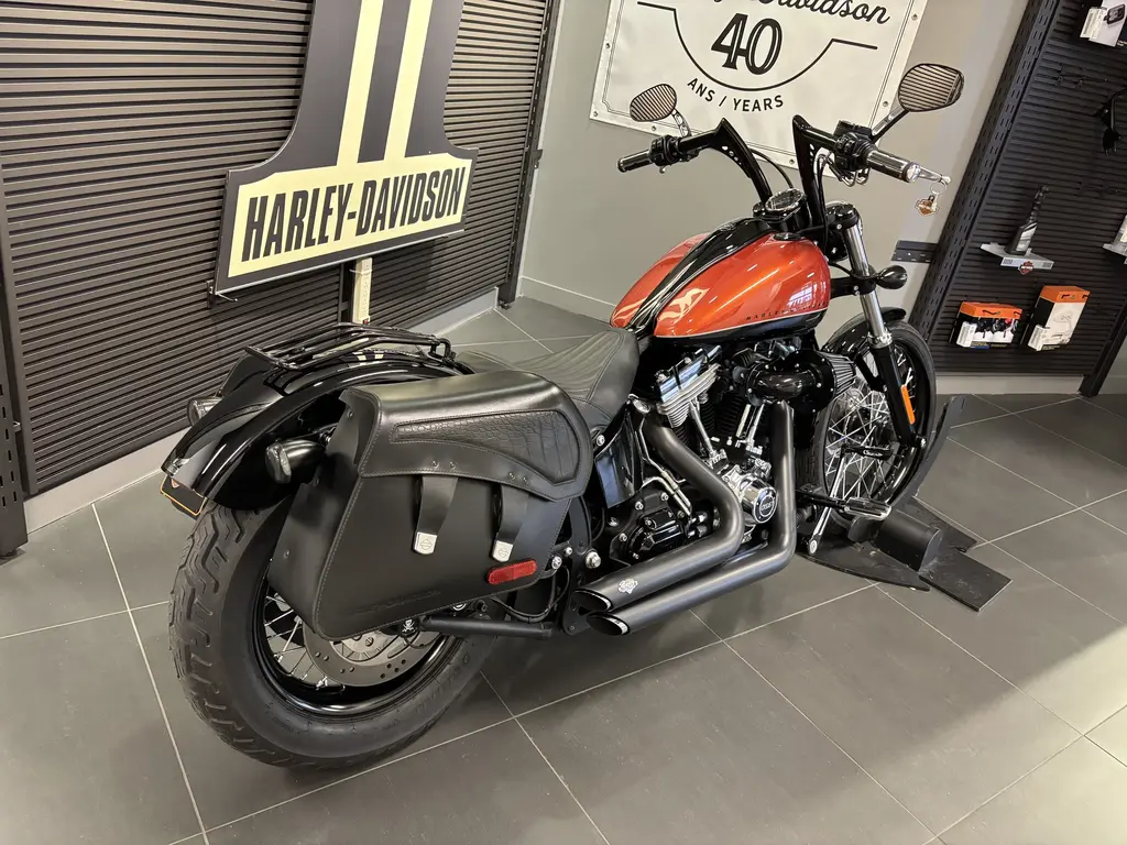 Harley-Davidson SOFTAIL BLACKLINE FXSFXS 2011