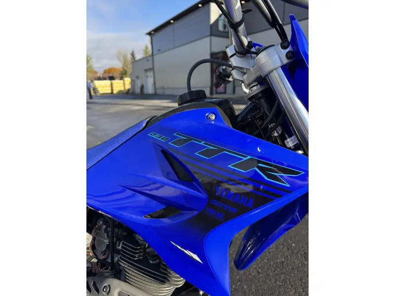 2024 yamaha TTR 230