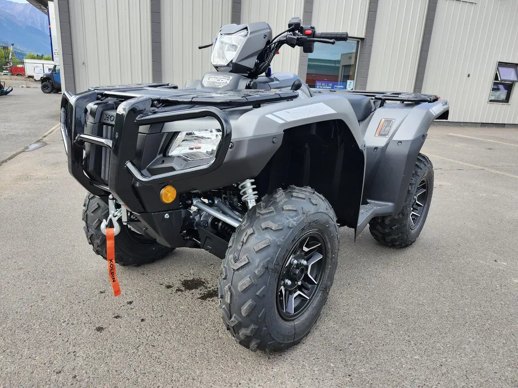 2026 Honda Rubicon 520 - DCT Deluxe