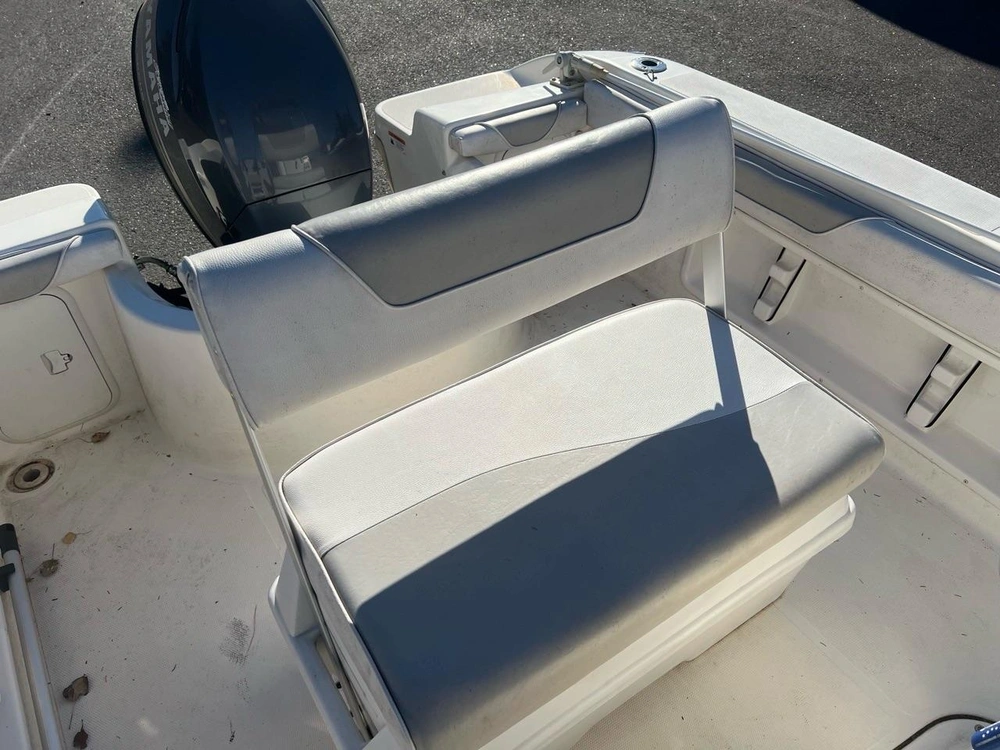 Larson 19cc Fincraft 2011 alt