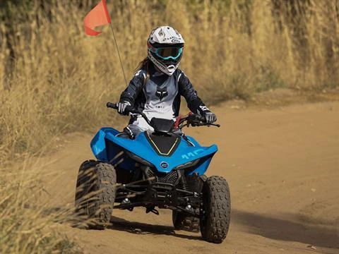 2026 Cfmoto Cforce 110 Classic alt