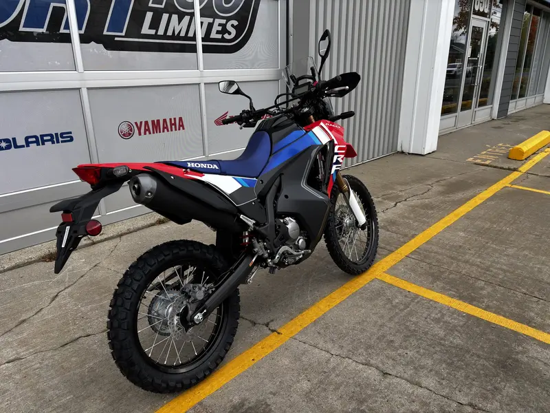 2025 Honda CRF300L ABS RALLY