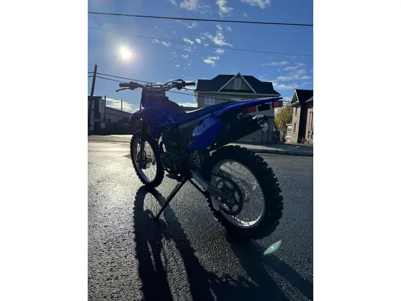 2024 yamaha TTR 230