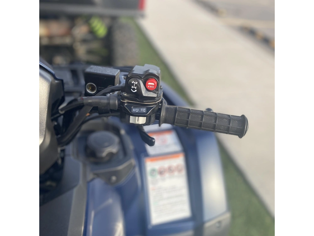 2024 Honda Fourtrax Foreman® Rubicon 4x4 Automatic Dct Eps alt